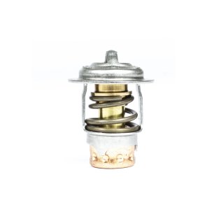 Thermostat pour moteur Mercury